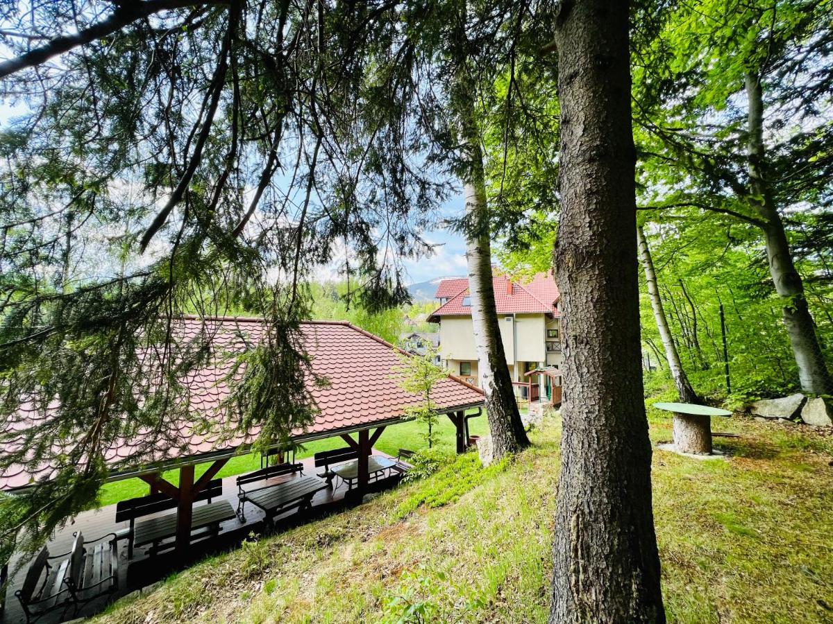 Pod Bukami - Chill&Spa Шклярска-Поремба Экстерьер фото